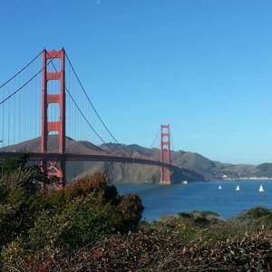 Meet your Posher, Ali reza